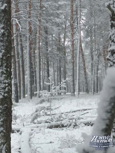 ❄️🌬 Зима пришла на север Ростовской..