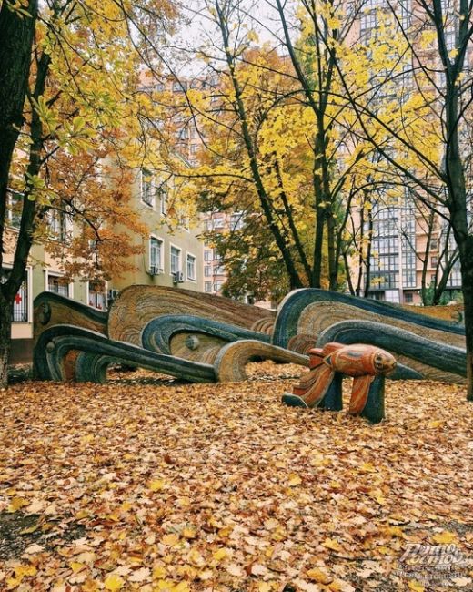 🍁🍂 Осень - последняя, самая восхитительная улыбка года  фото: Роман..