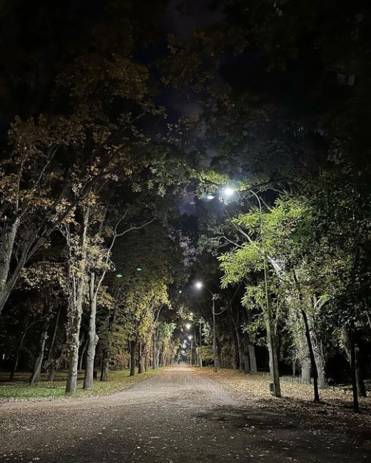 Вечерний Краснодар как всегда красив. Осень 🍂 в нашем городе всегда полна свежим воздухом и усыпанными..