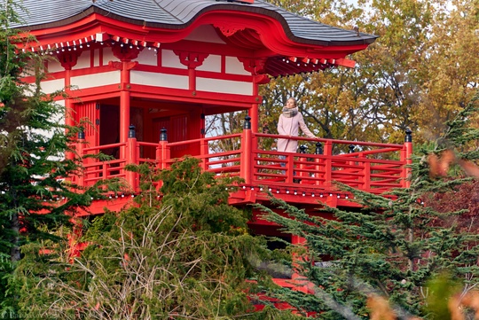 Золотая осень в Японском саду, парк Краснодар! 
Поспеши на фотосессию, лучше всего приезжать утром к 8 - мало..