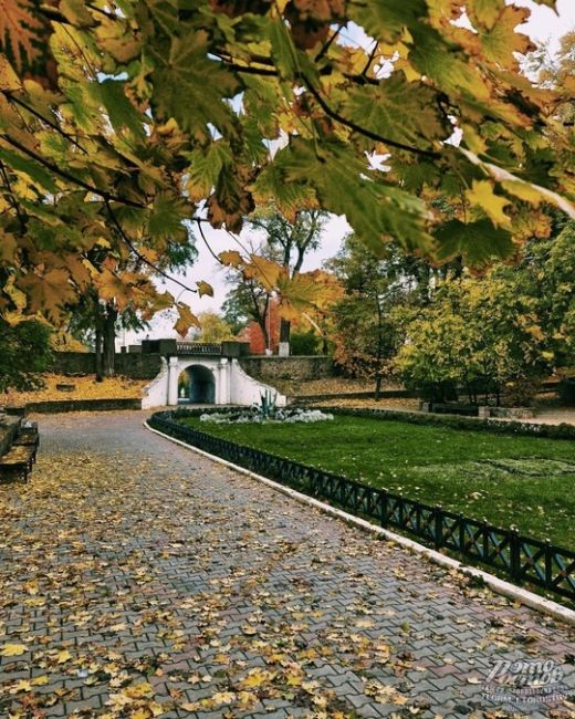 🍁🍂 Осень - последняя, самая восхитительная улыбка года  фото: Роман..