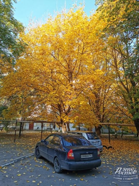 Золотая осень в Таганроге 🍂 ☕  Фото: Вадим..