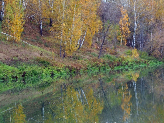 Павловский район. Тумботинская осень.💙  фото: Павла..