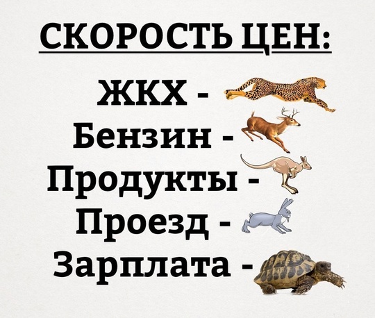 В администрации Ростова представили логотип Нового года для украшения города. 
По словам главы..