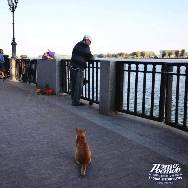 😼 Контроль качества рыбов (Рыбнадзор) на..