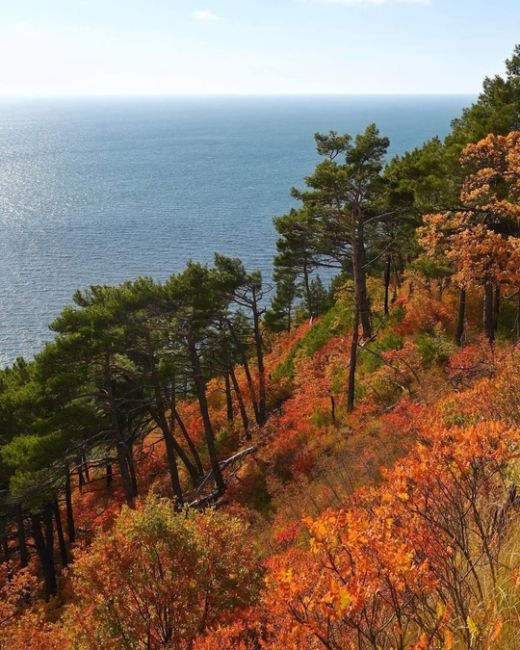 Прогулка по тропам между Дивноморским и Прасковеевкой 🍁  Фото..