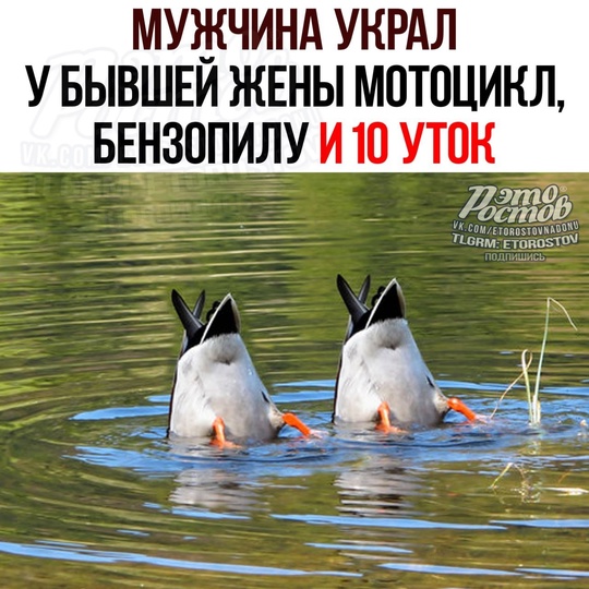 🦆 Мужчина украл у бывшей жены мотоцикл, бензопилу, электрогенератор и 10 УТОК 
51-летняя женщина написала на..