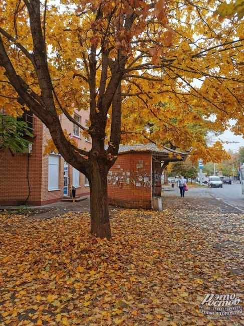 Золотая осень в Таганроге 🍂 ☕  Фото: Вадим..