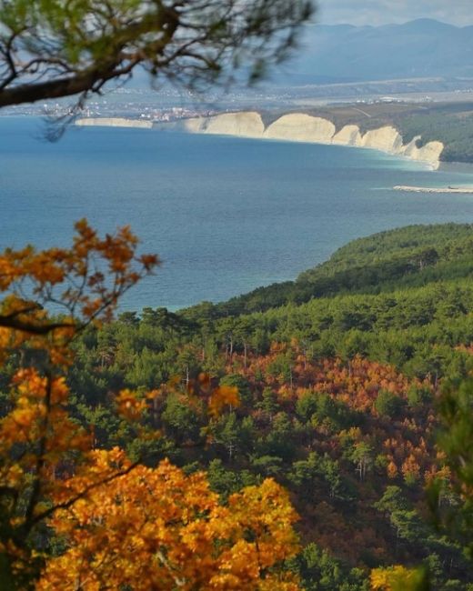 Прогулка по различным тропам между Дивноморским и Прасковеевкой 🍁🍂☀️ 
Прекрасные виды, яркие краски и..