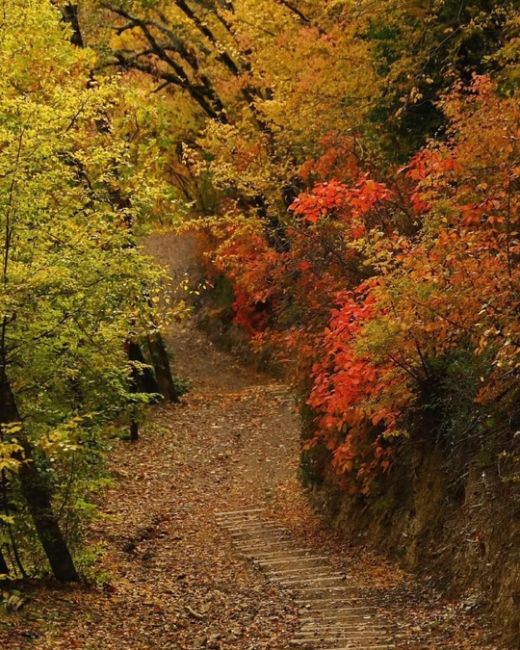 «Прогулка по эко-тропе в Абрау-Дюрсо🍂🍁» 
Все фото..