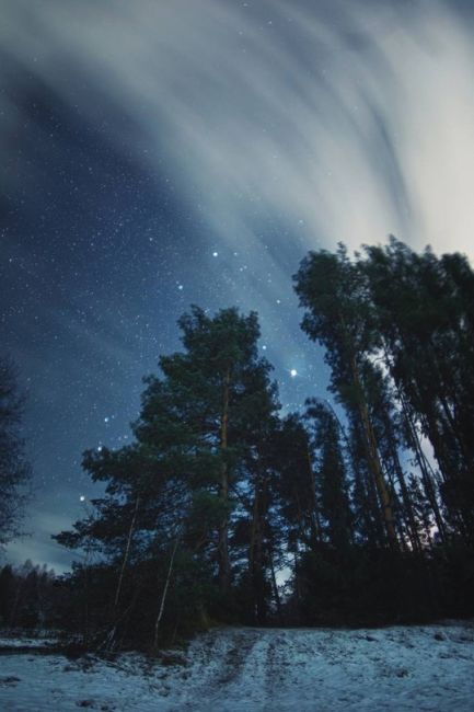 💙 Звездная ночь в нижегородских краях  Фото: Ян..