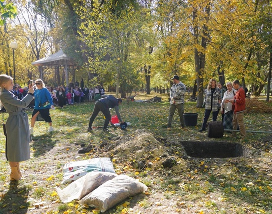 10 Апостолов вернулись в Городской сад Краснодара через 500 лет  Десять дубов - крупномеров высадили в..