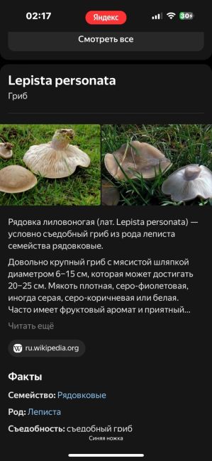 🍄 Грибы-монстры в Аксайском районе. На них наткнулся местный житель. Шляпка размером с мужскую стопу. Точное..