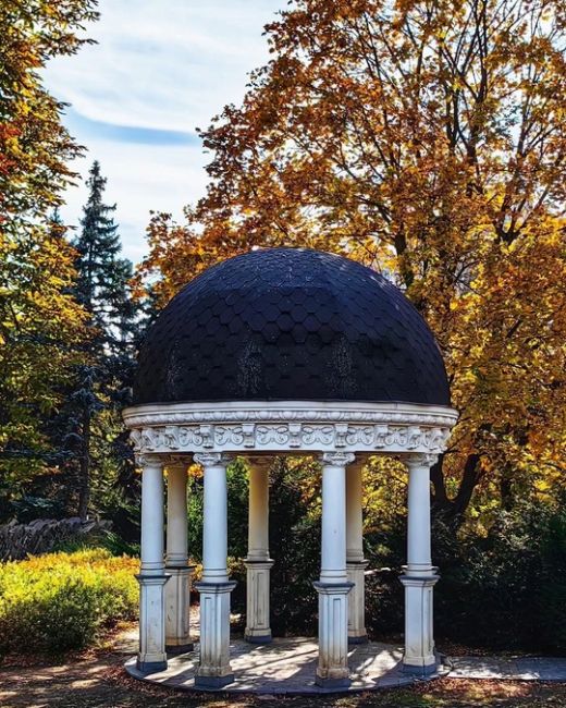 Осень в ростовских дворах🍁  Фото: Алексей..