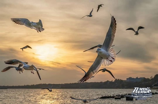 🌊 Осенью Таганрогский залив прекрасен 
Фото: Ирина..