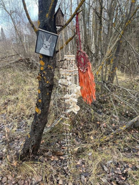 🗣Немного крипоты из Борских лесов — в глуши, неподалеку от просёлочной дороги у деревни Мыс, заметили..