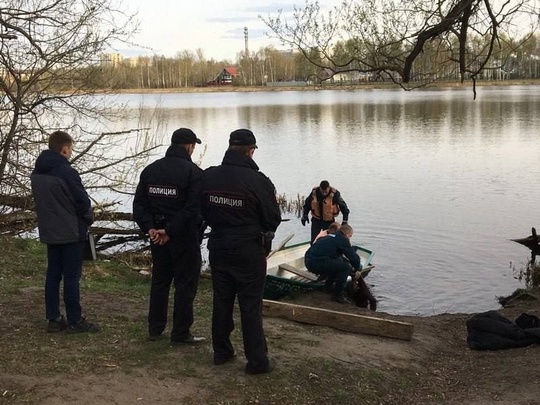 В Зерноградском районе Ростовской области на берегу пруда у хутора Красные Лучи местный житель обнаружил..