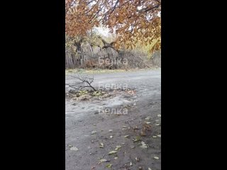 В Белой Калитве уже полноценный снегопад. Зима близко… одеваетесь..