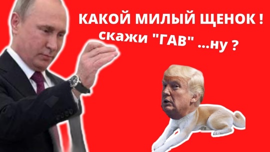 🗣Дональд Трамп объявил о своей победе на выборах президента США. 
«Больше никаких войн, во время моего..