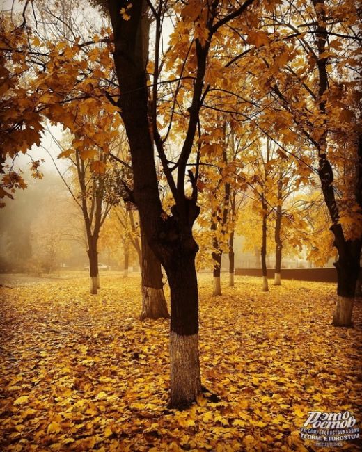 💛 Kраски золотой..