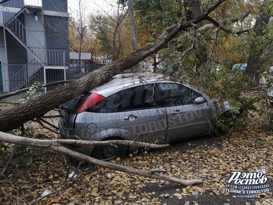 🌳«Уже неделю после урагана вот так стоит машина на Нагибина, 17/2. Хозяин вообще в курсе? И почему не убрали..