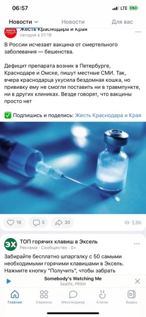 🥰 Дамочка завела котёнка и крысу одновременно. По идее, котик должен был съесть эту крысу, но произошёл сбой..