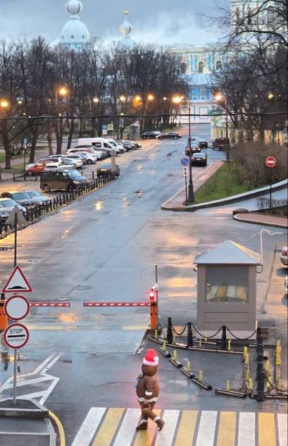 В окрестностях Смольного заметили персонажа, напоминающего о приближении праздников. Ждёте Новый..