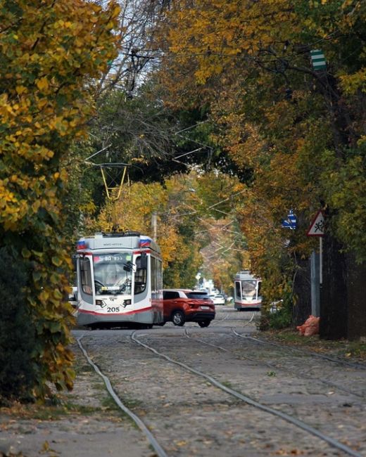 Трамвайчики😍🍁  Фото..