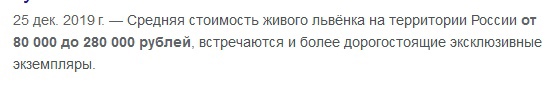 Полицейские изъяли львёнка из магазина в хуторе Лениваван  Малыш появился в местной торговой точке в конце..