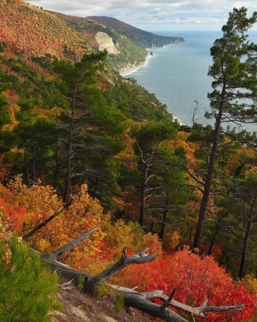 Прогулка по различным тропам между Дивноморским и Прасковеевкой 🍁🍂☀️ 
Прекрасные виды, яркие краски и..