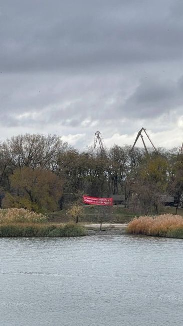 🌳 В Левобережной роще Ростова появился плакат с призывом к губернатору Слюсарю спасти рощу. По слухам,..