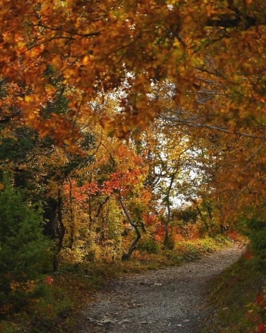 Прогулка по эко-тропе в Абрау-Дюрсо 🍂🍁😍  Фото..