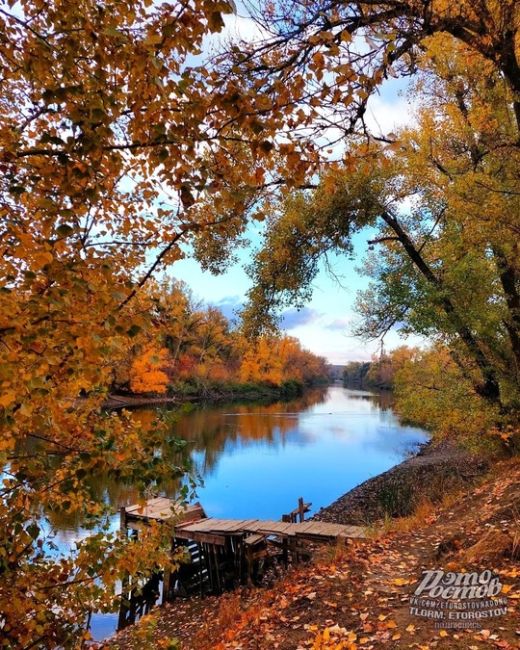 Осень в Белой Калитве наполнена красотой..