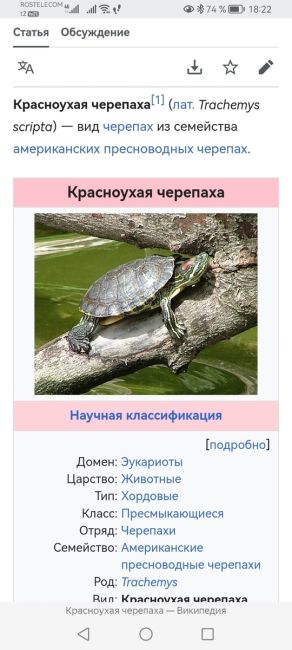 🐢 «В ужасных условиях находится красноухая черепаха в парке Революции. Она ползает по грязи без воды и еды!..