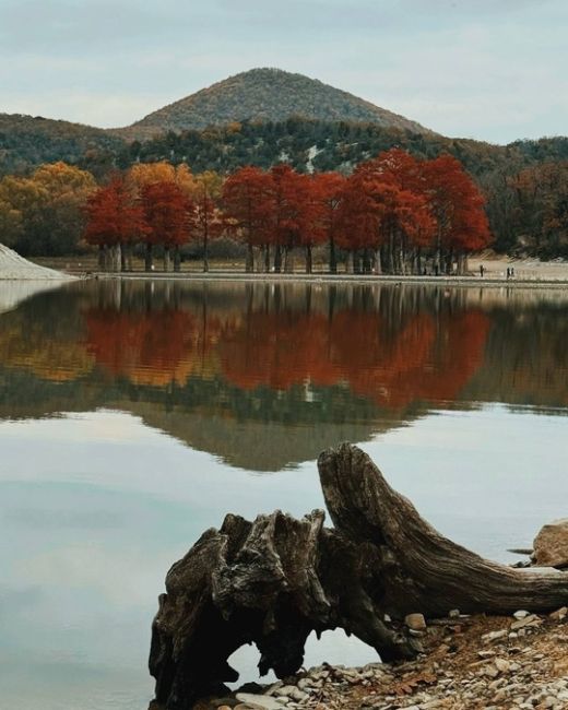 🍂Одна из самых известных локаций Анапы, - Кипарисовое озеро в поселке Сукко ( 20 км от Анапы )  Летом, и..