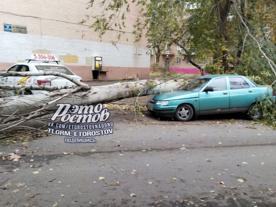 ⚠️🌳 Деревопад в Ростове продолжается.  «На Нансена прям перед машиной рухнуло, повезло», - рассказывает..