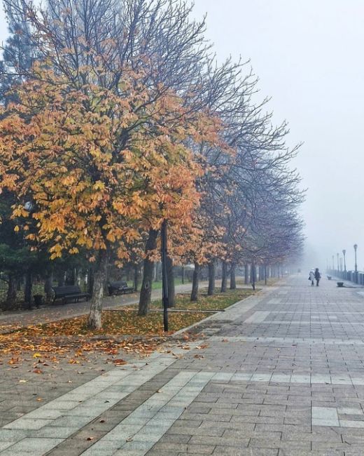 В этом году осень просто великолепна. Согласны? 
Фото: Роман..