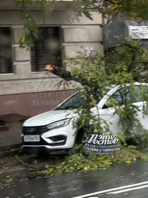 ⚠🌳 На Будённовском прилетело по свеженькой Ладе..