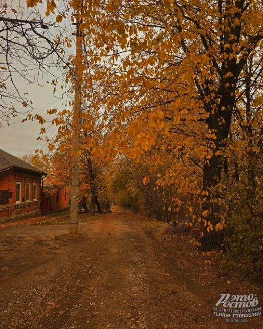 🍁🍂 Осень отчаянно сверкает золотом своих деревьев и напоминает нам о близости..