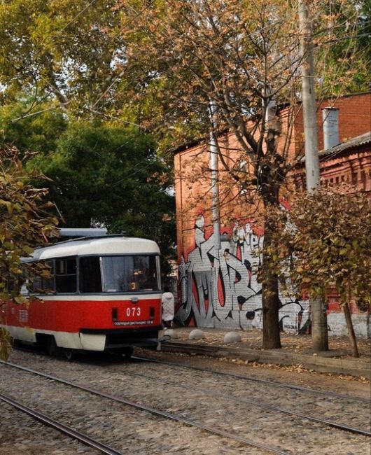 Ещё немного уютной краснодарской осени 🍁  спасибо..