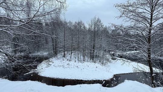 💙Снежное утро в Борском лесу 
Фото: Борис..