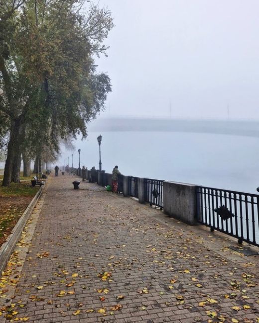 В этом году осень просто великолепна. Согласны? 
Фото: Роман..