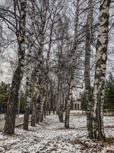 Ноябрьские открытки из Сормовского парка 🤍  #зарисовкинеоченьюногонатуралиста 
#нижегородскиезарисовки..