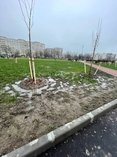 Петербургский чиновник извинился за Косово в новом парке  Одно фото в соцсетях привело к тому, что глава..