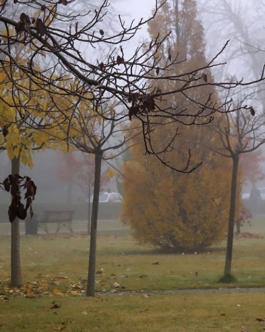 🌫️ Кто рано встает, тот… увидит туман. Вот такое воскресное утро в Краснодаре 
📸..