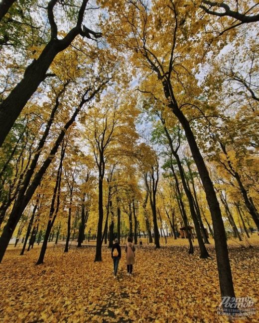 🍁🍂 Осень - последняя, самая восхитительная улыбка года  фото: Роман..