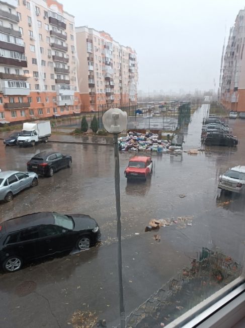 Подписчики продолжают выражать недовольство по поводу вывоза мусора с площадок  Юг-1. Николаевский..