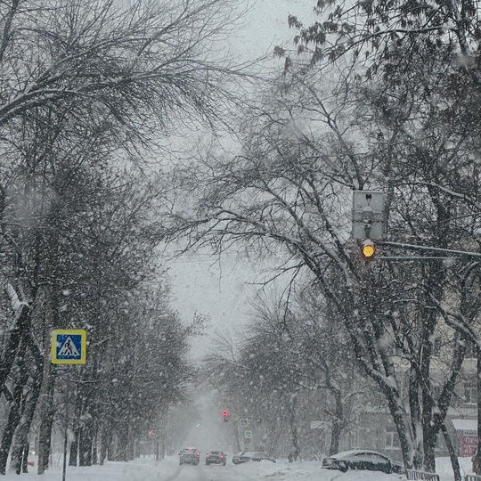 Штормовой ветер и метели придут в Свердловскую область🌨️  10 ноября ожидается шквальный ветер с порывами до..