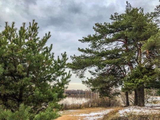 Ноябрьские открытки из Сормовского парка 🤍  #зарисовкинеоченьюногонатуралиста 
#нижегородскиезарисовки..