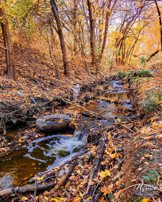 🍂🍁 Можайские пруды. Классное и тихое место для..